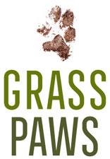 Grass Paws