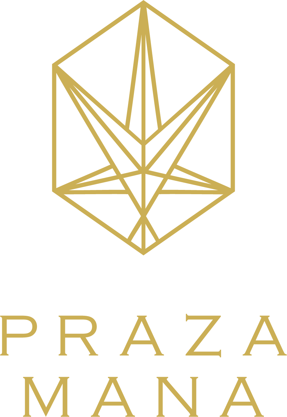 Prazamana