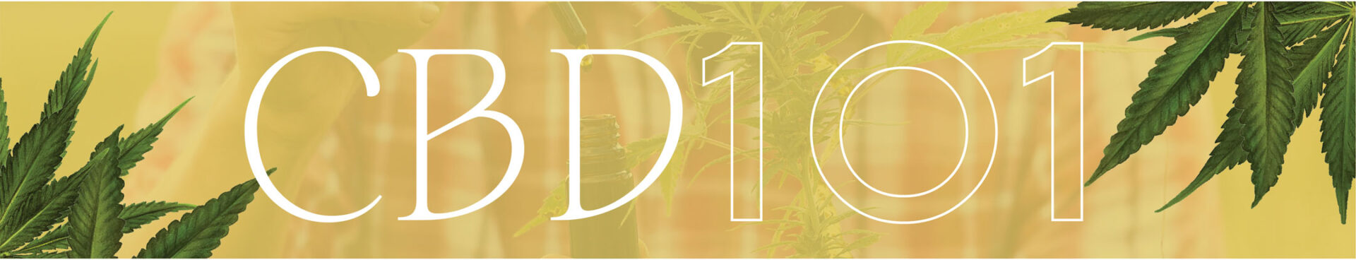 VC-Website-Banners-2021_cbd101-foco