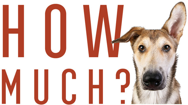 how-much