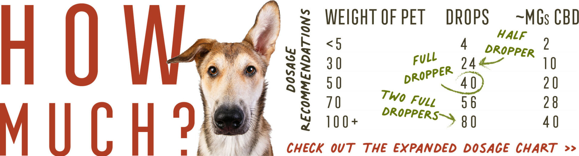 VC-Website-Banners-2021_gp-how-much
