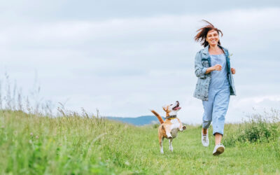 Pups, Endocannabinoid System  + CBD