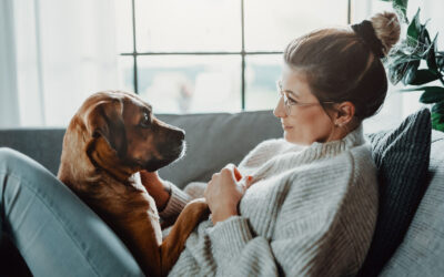 CBD and our Pet’s Epilepsy — Does it work?