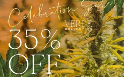 Hooray for Harvest! Celebrating with 35% off!
