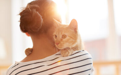 Cat Anxiety: A Guide to Helping Our Feline Friends