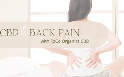 FoCo Organics CBD + Back Pain | All You Need to know!