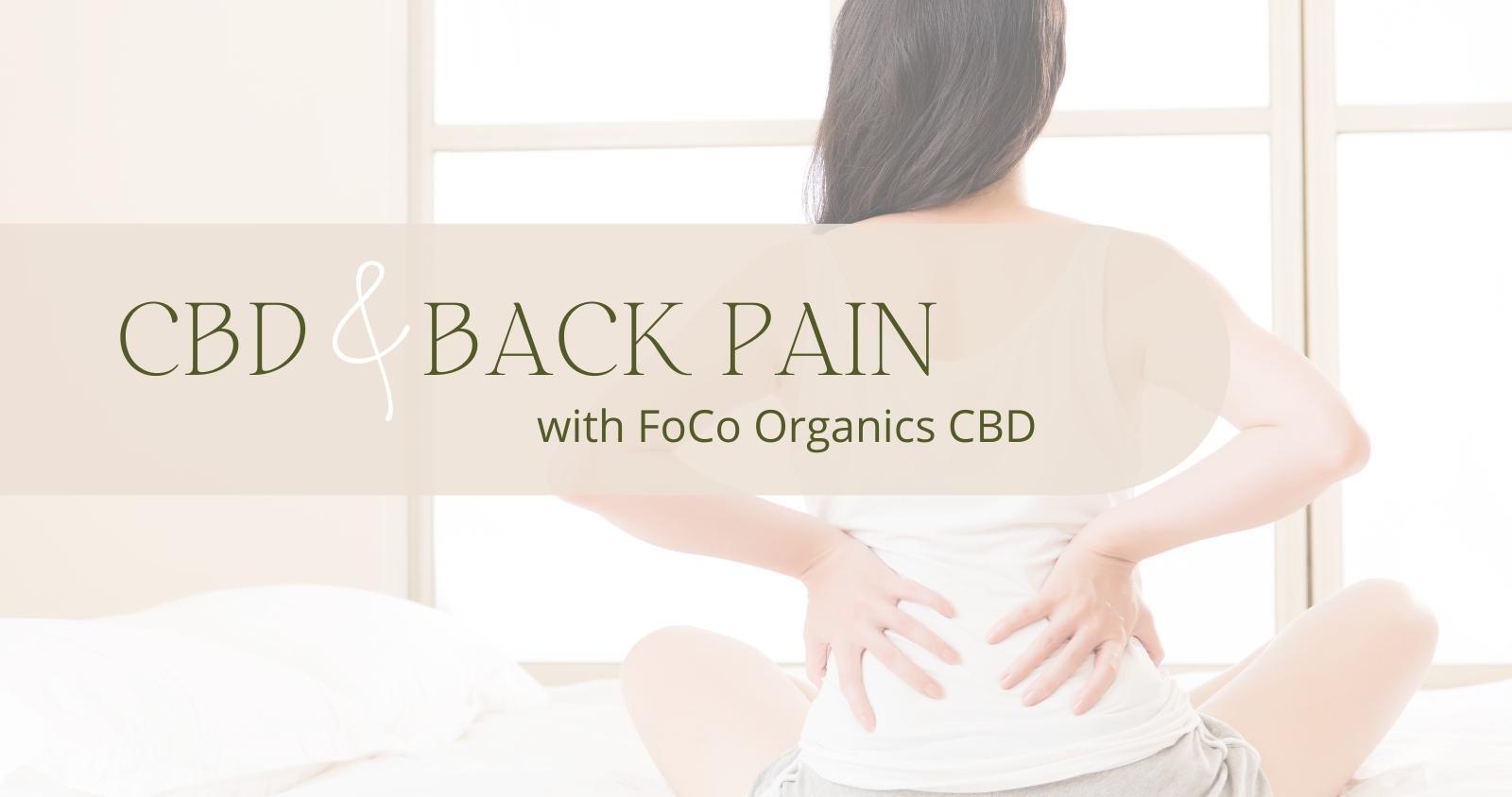 CBD + Back Pain Blog Campaigns-2