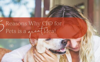 5 Reasons Why CBD for Pets is a Great Idea!