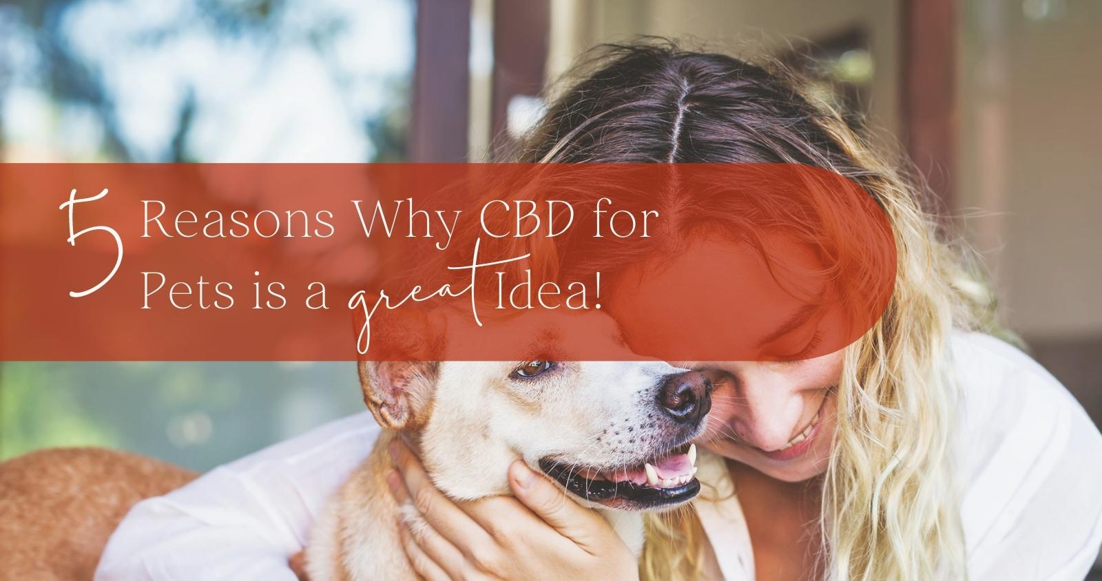CBD for Pets is a Great Idea 9 22 22