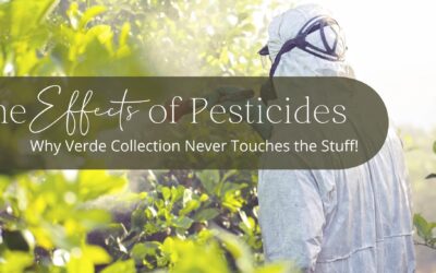The Effects of Pesticides on Your Health