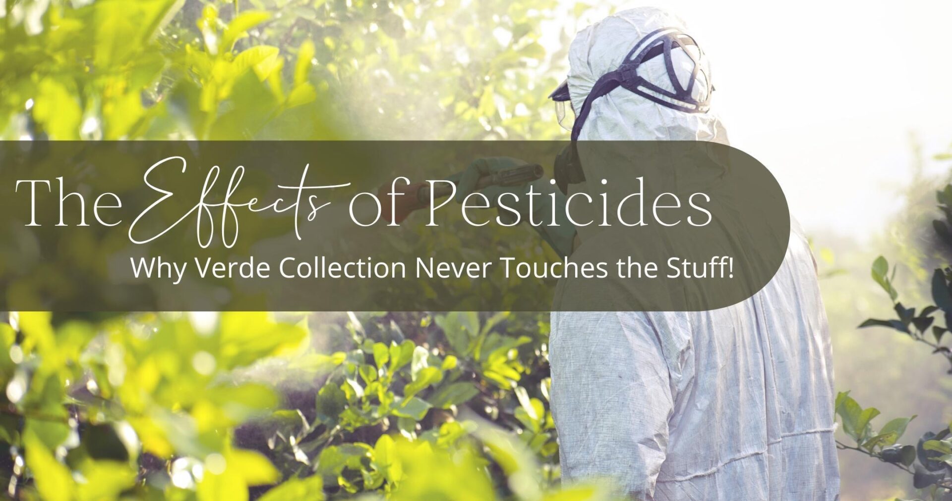 The Effects of Pesticides on Your Health_10_20_22