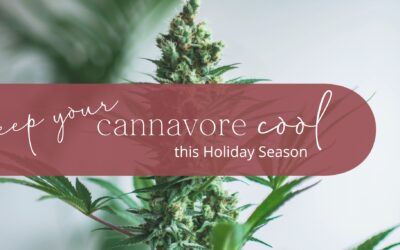 Keep Your Cannavore-Cool this Holiday Season