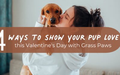 4 Ways to Show Your Pup Some Love this Valentine’s Day