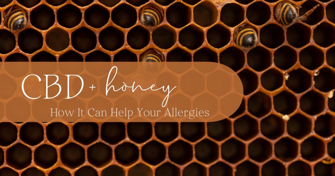 2023-04-06-Honey-CBD-graphic