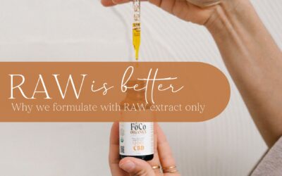 Why RAW CBD Extract is Better Than Isolate and Distillate