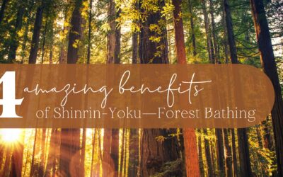 4 Health Benefits of Shinrin-Yoku—Forest Bathing
