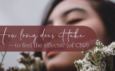 How Long Does It Take to Feel the Effects of CBD?
