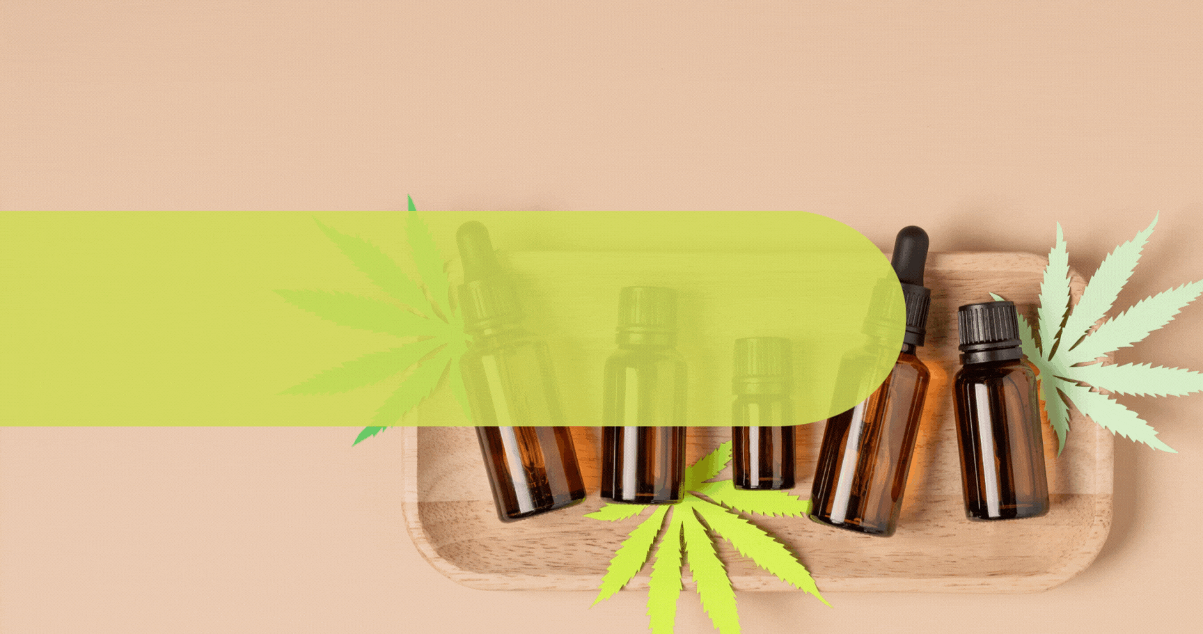 5 Key Questions to Consider when buying CBD