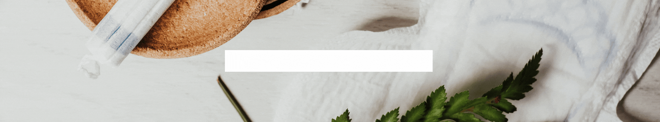 2024-012-19-intention-ENGLISH