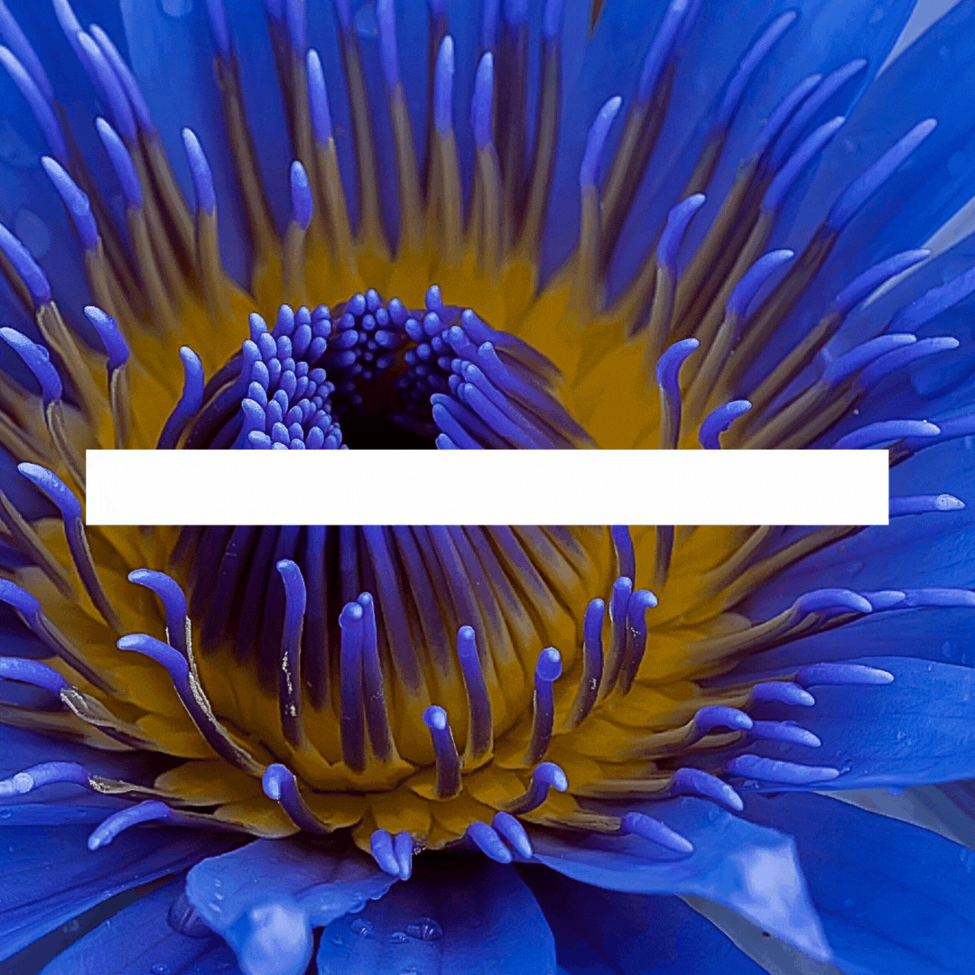 Cosmic Plants: Why Ancient Civilizations Trusted Their Power