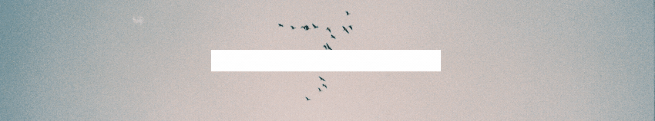 2024-012-19-intention-SPANISH