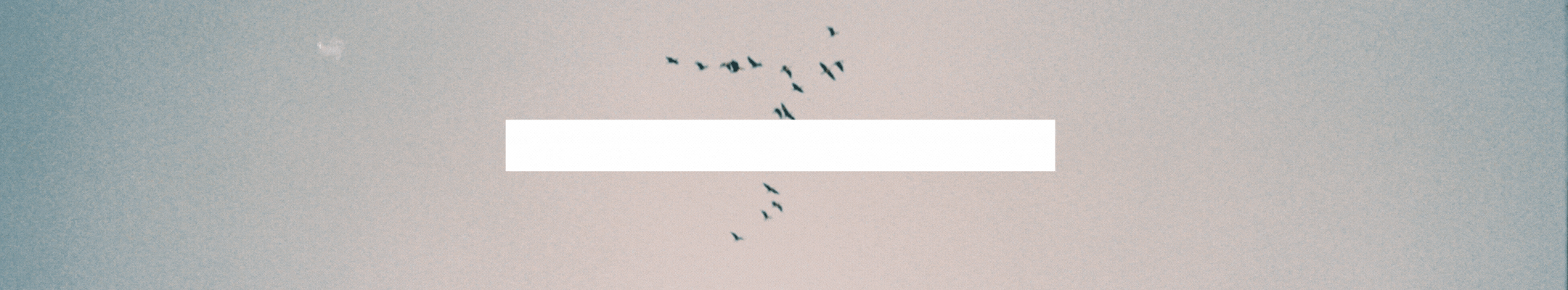 2024-012-19-intention-ENGLISH