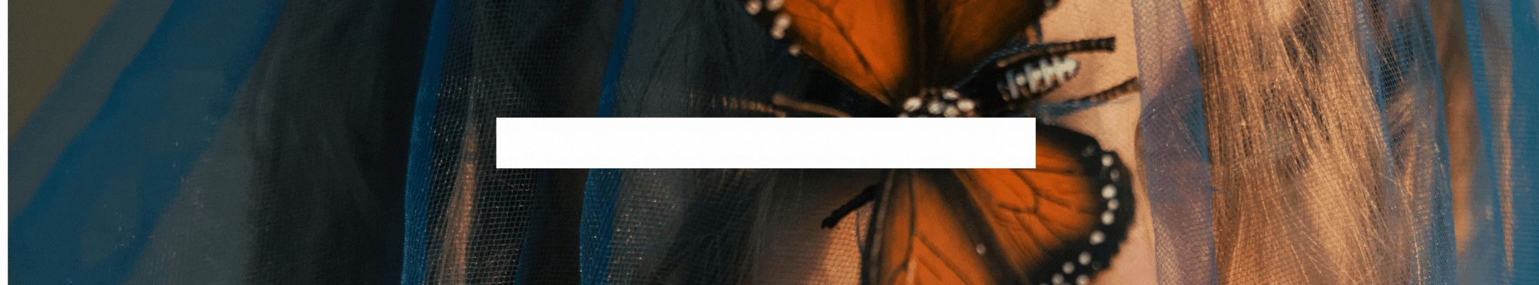 2024-012-19-intention-ENGLISH