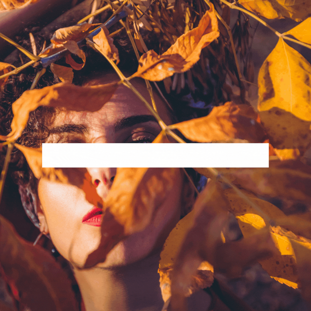 Nutriendo tu Bienestar a Fines del Otoño