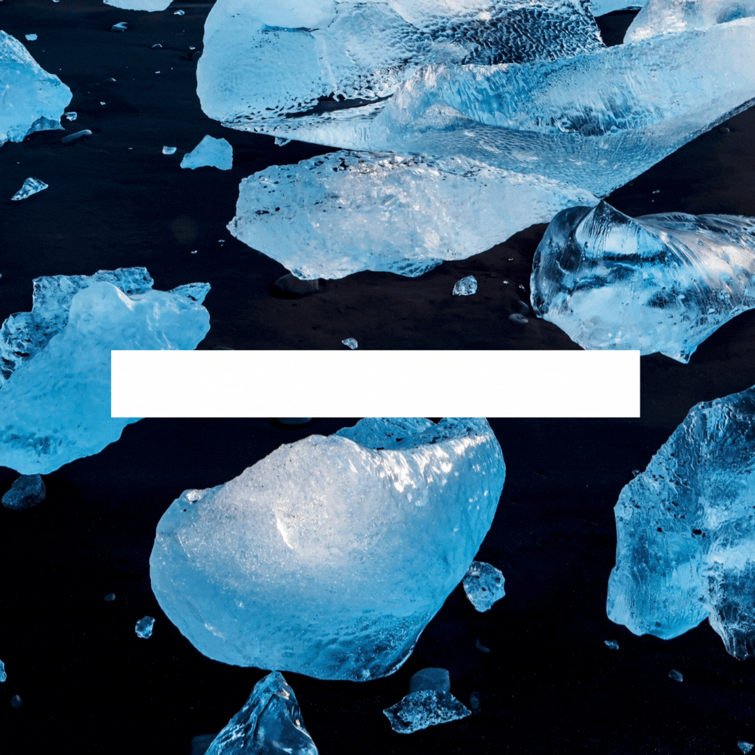 Embracing the Stillness of Winter