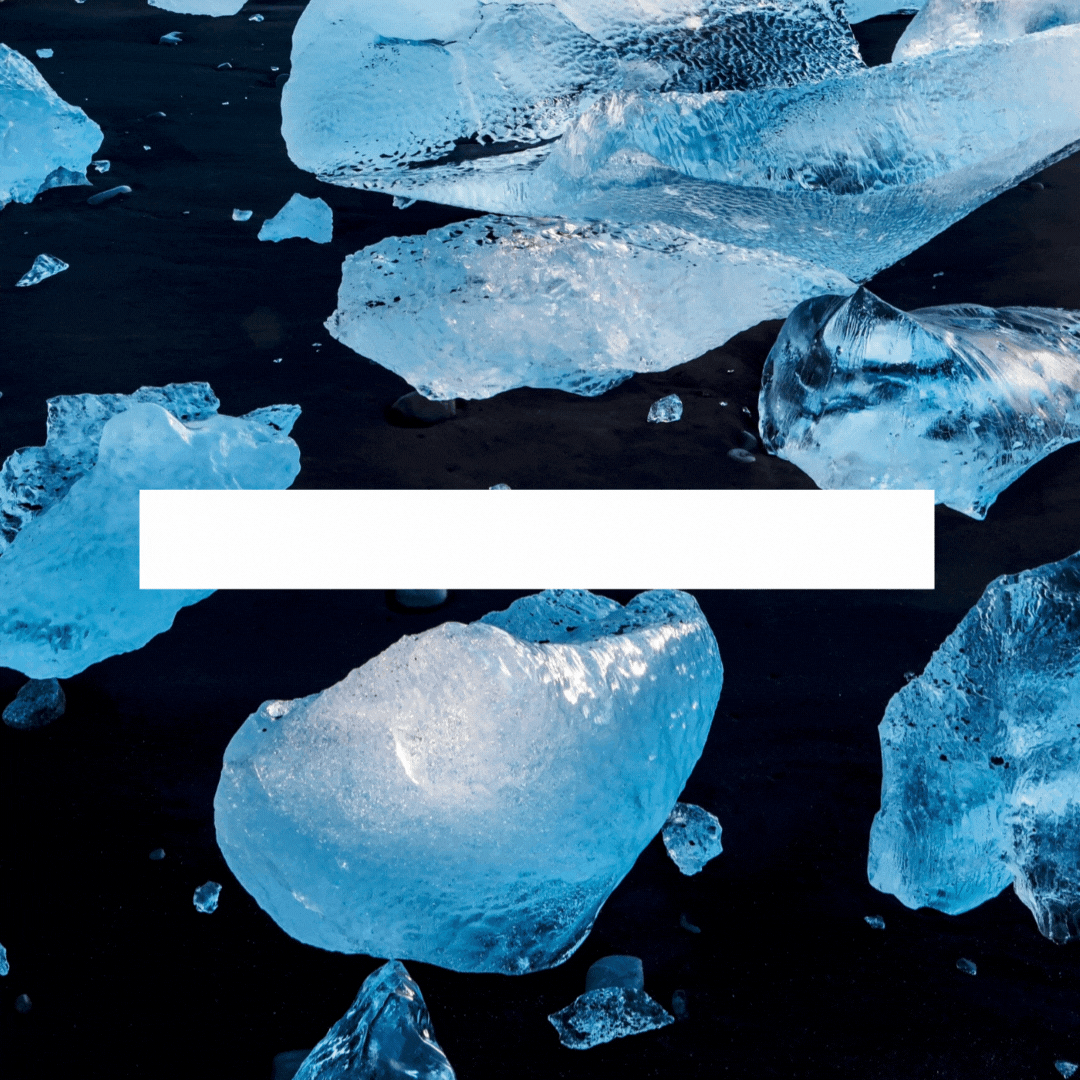 Abrazando la Quietud del Invierno