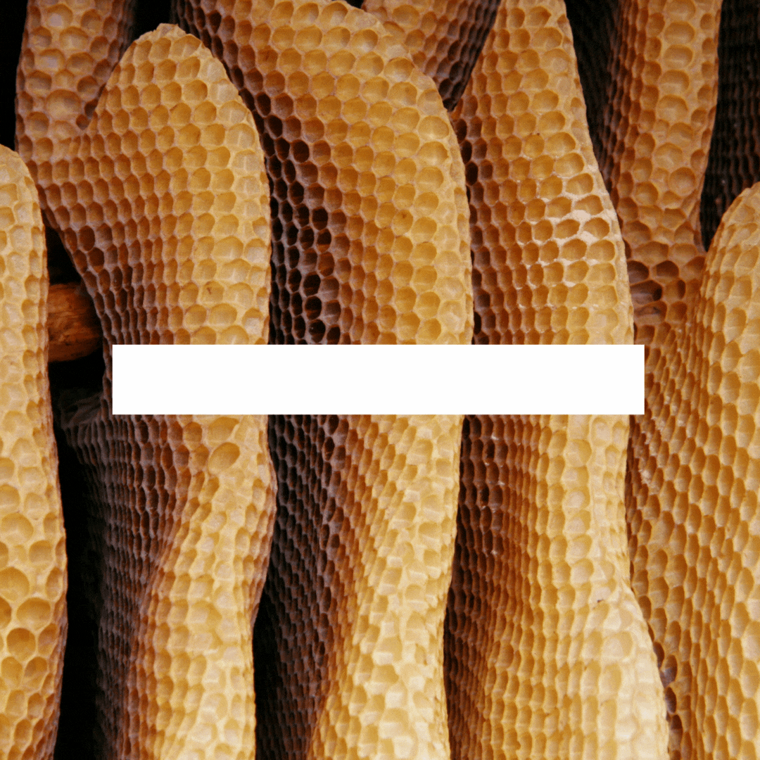 Cambia las Resoluciones por Metas Sostenibles: La Constancia es la Nueva Meta