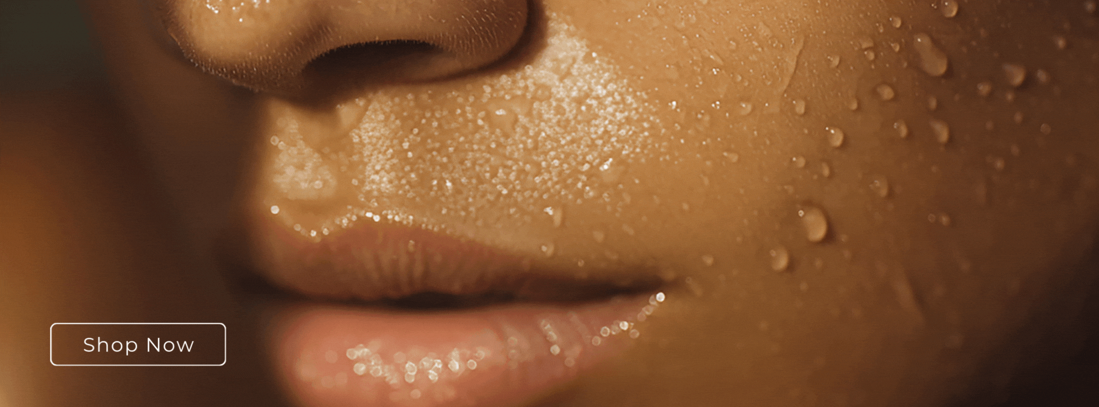 SLIDER 1 (2160 × 800 px)