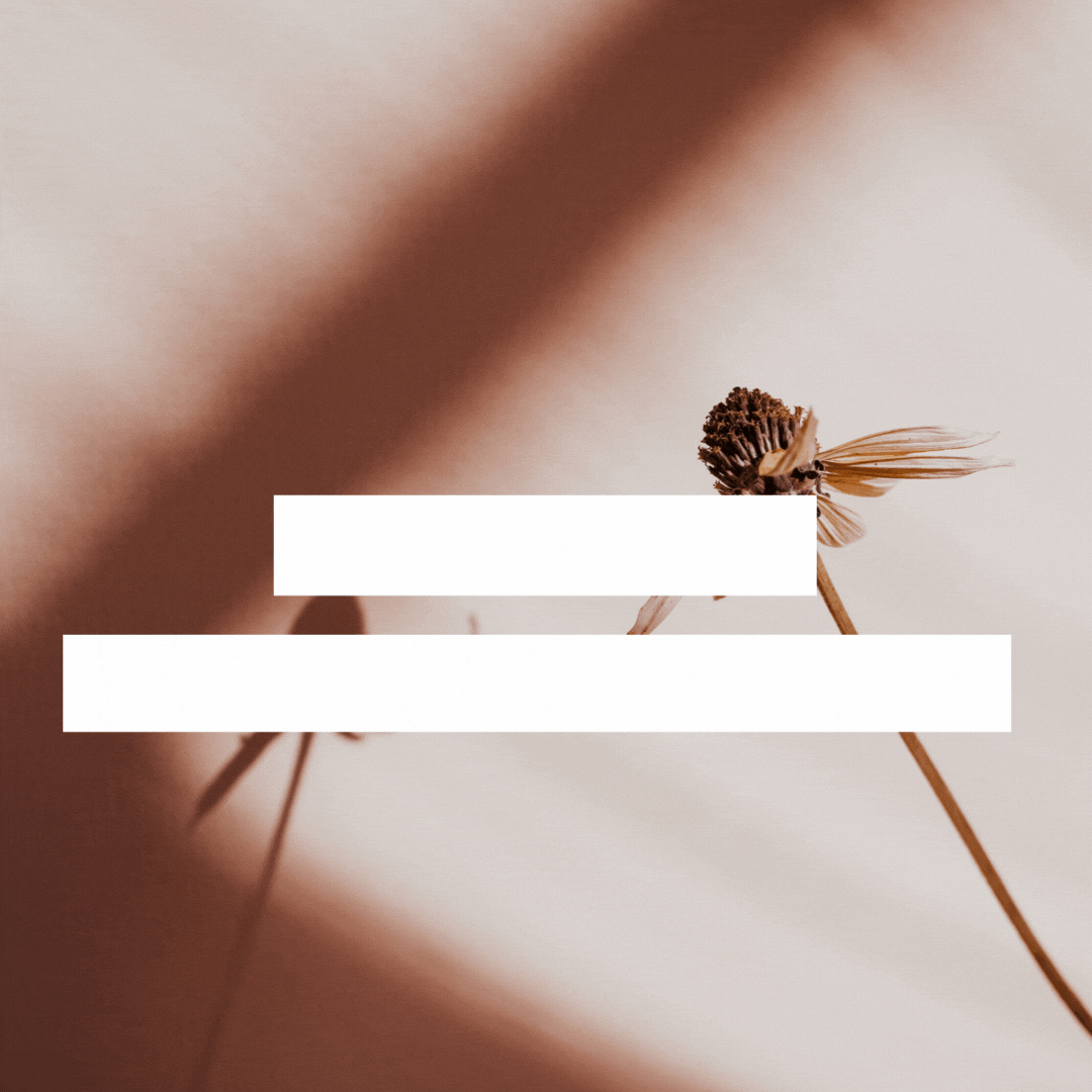 Encuentra Tu Centro: CBD para el Estado de Ánimo y el Equilibrio Diario