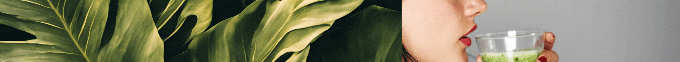 2025-04-21-EARTH-DAY(1) 2024-11-20-Gratitude-Campaign-Spanish(1)