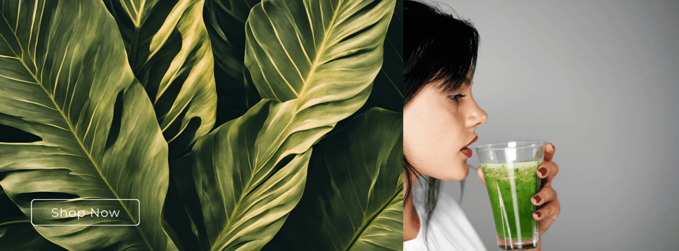 SLIDER 1 (2160 × 800 px)