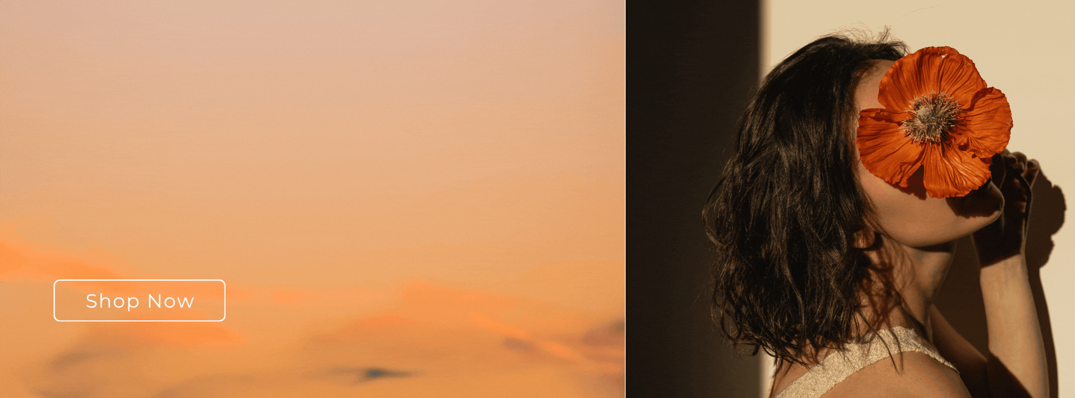 SLIDER 1 (2160 × 800 px)