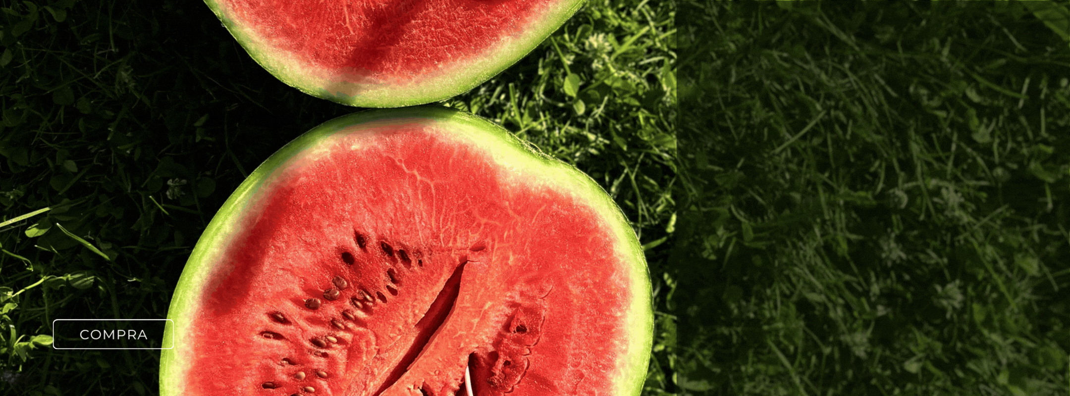 SLIDER 1 (2160x800)