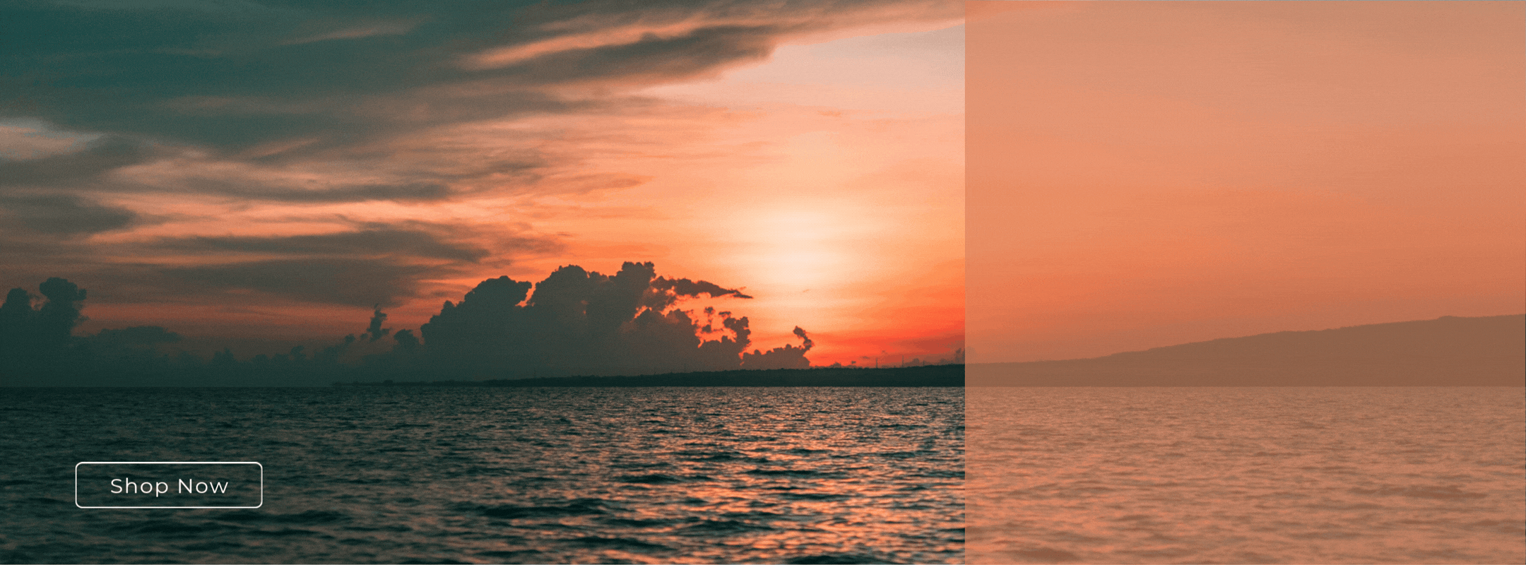 SLIDER 1 (2160 × 800 px)