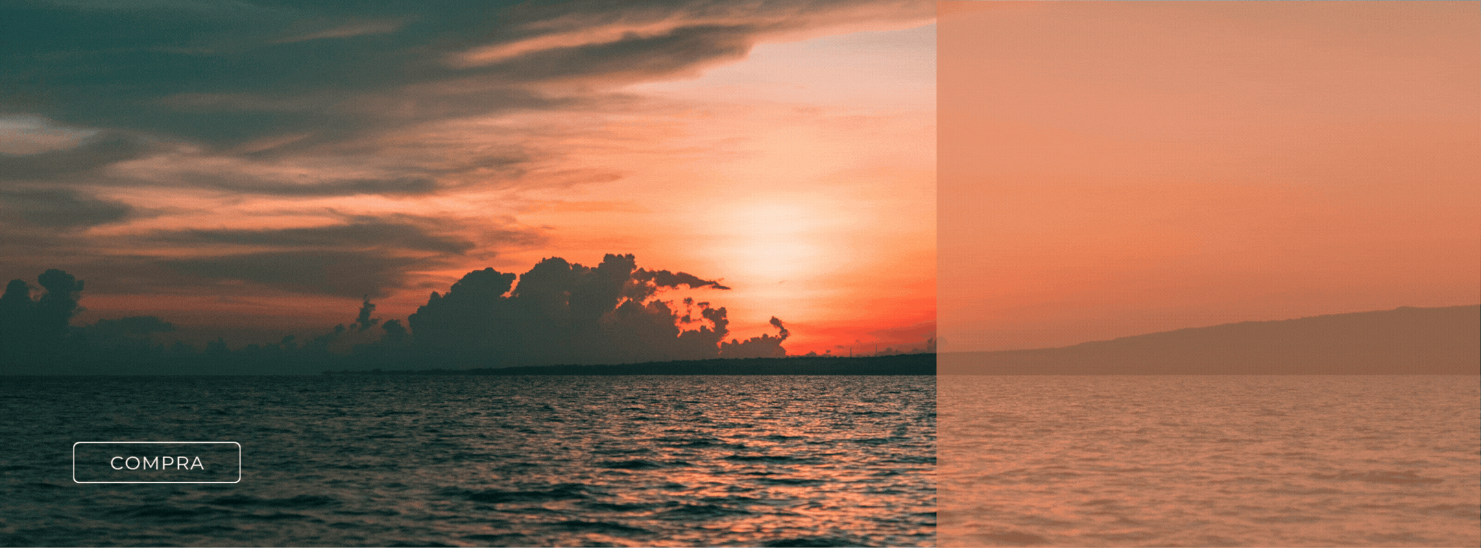 SLIDER 1 (2160x800)