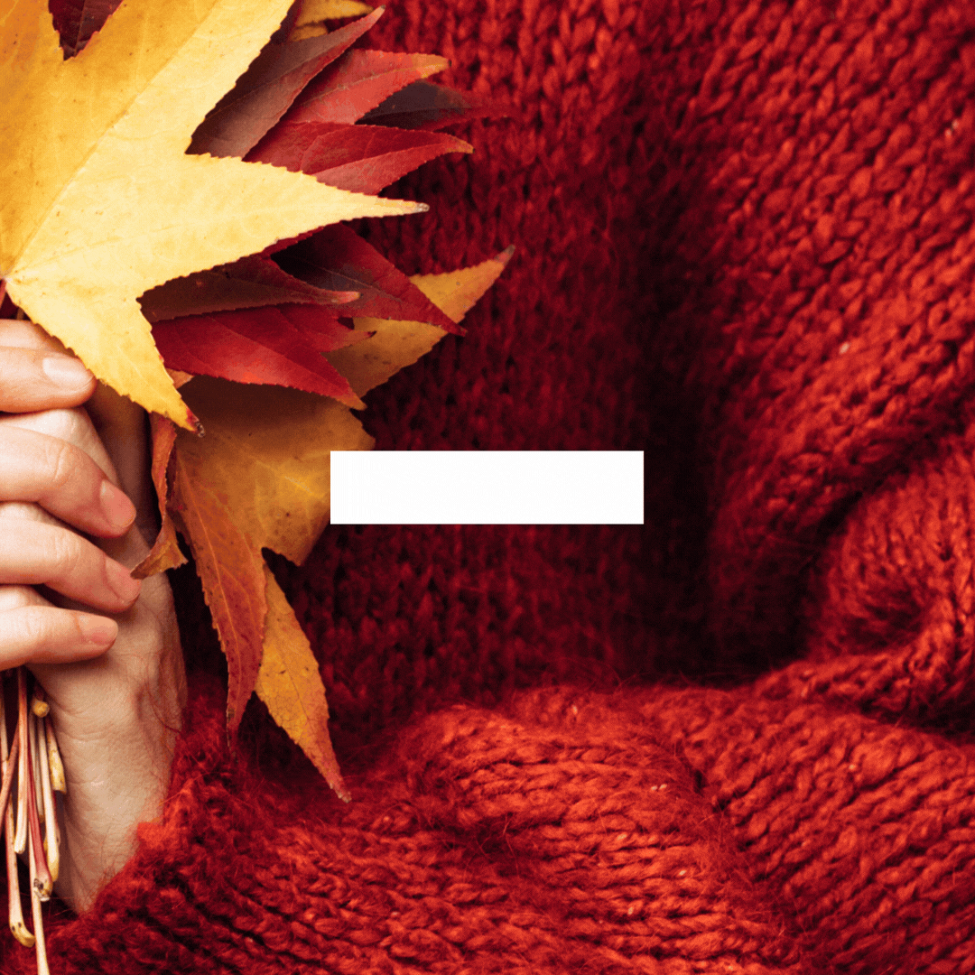 Autumn Reset: How CBD Helps Your Body Adapt to Fall